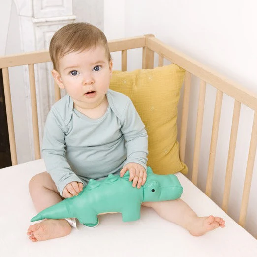 Achille le Crocodile – Image 3