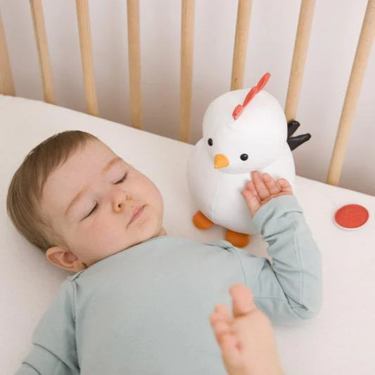 Paulette la Poule – Image 2