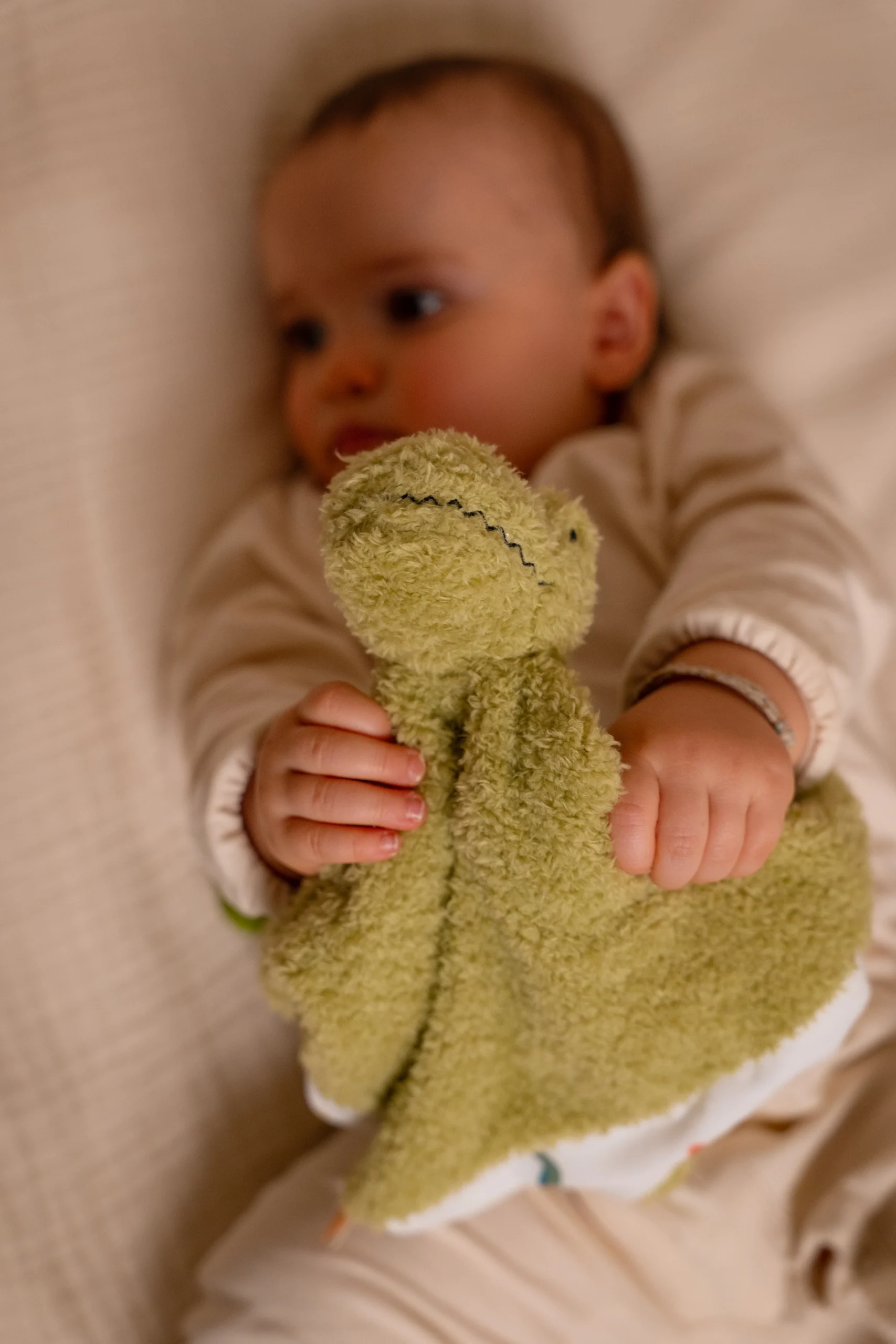 Doudou - Rex le Tyrannosaure – Image 3