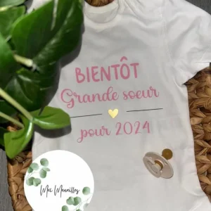 Future grande soeur | grand frère (2025)