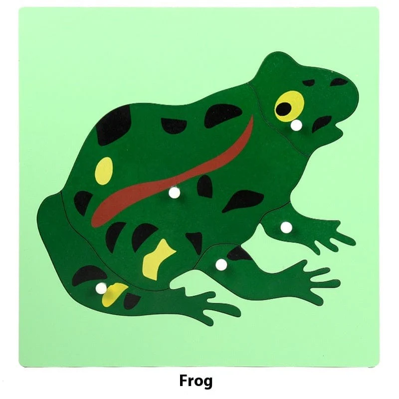 Cabinet de Zoologie Montessori – Image 8