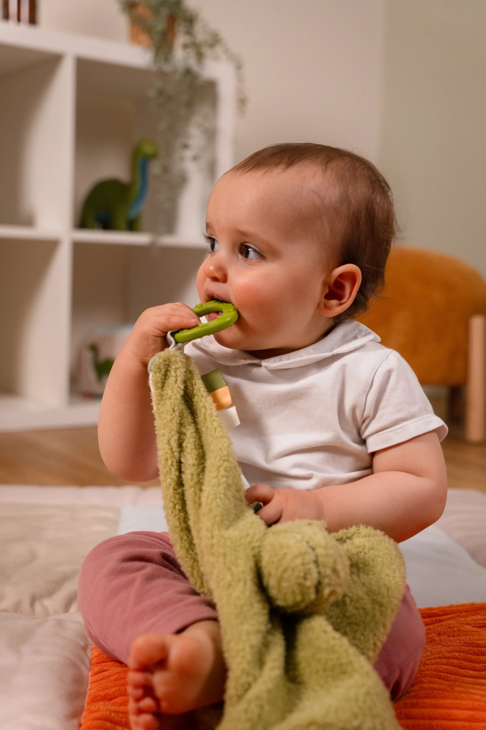 Doudou - Rex le Tyrannosaure – Image 4