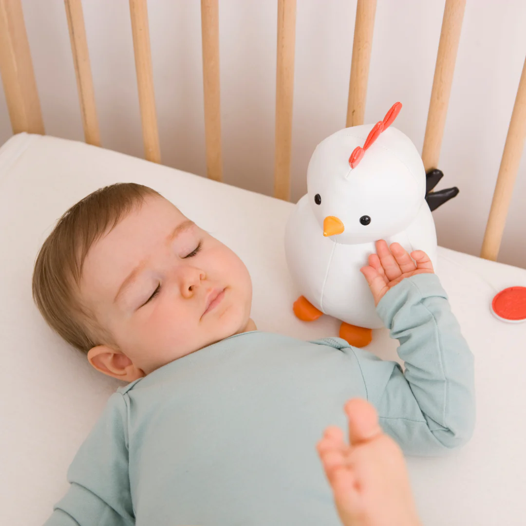 Paulette la Poule – Image 2