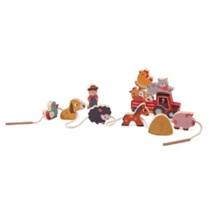 Puzzle animaux Montessori